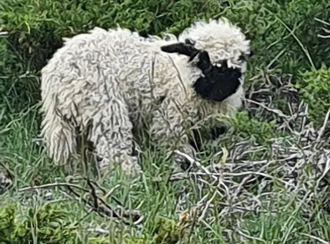 شقة Emelie 4**** *