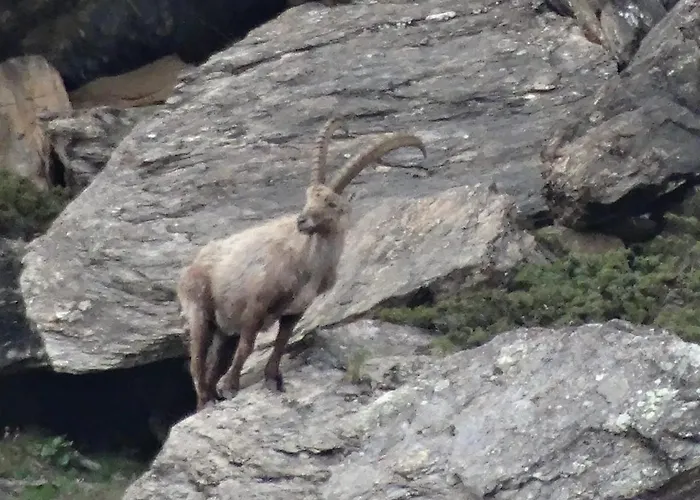 Emelie 4**** Apartmán *